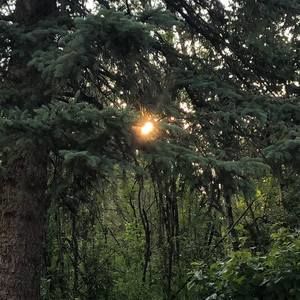 Meet your Posher, Sherry